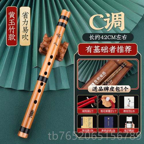 正品入精品零基础门洞箫便携苦竹初短萧迷你小笛子古风F调学六萧