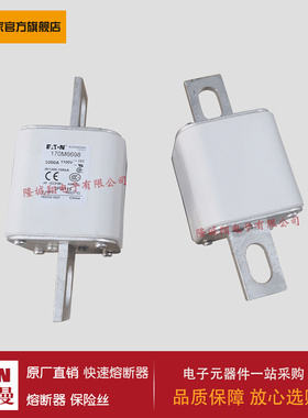 熔断器170M6697 170M6698 170M6699 170M6700 170M6701 170M3738