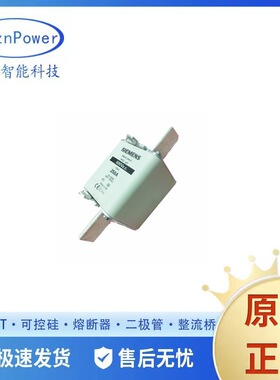 3NA3244-6 3NA3250-6 3NA3252-6 全新现货  熔断器标准