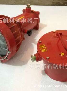 DGS175/127B(C) 矿用隔爆型投光灯，矿用175W投光灯