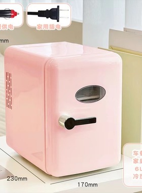 储买母乳冰箱车用可爱美妆冰箱乳白色摆摊充电制冷加热车载冷藏箱