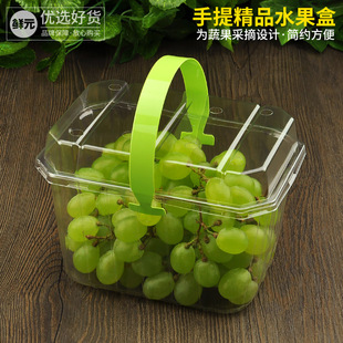 盒 包装 鲜元 网红手提水果盒草莓采摘盒一次性透明果篮打包盒2斤装