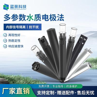 手持便携主机多参数水质检测仪电极法PH传感器水质电极探头分析仪
