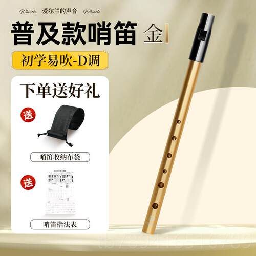 高档爱尔兰哨C调D调学生专用六孔笛笛儿童专业演奏高低音直小笛子
