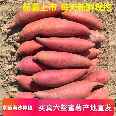 福建六鳌蜜薯新鲜红薯地瓜富晒沙地红心红蜜薯正宗漳浦产地直发C