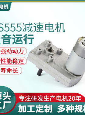 24V 20rpm  RS555方型蜗轮蜗杆减速电机