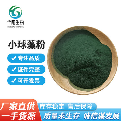 小球藻粉现货批发食品级小球藻粉绿藻粉小球藻蛋白核小球藻粉