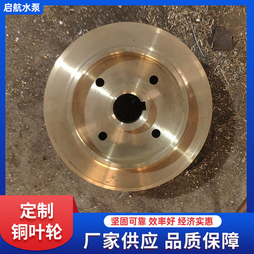 不锈钢水泵叶轮 双面纯铜增压泵叶轮离心管道泵水泵配件