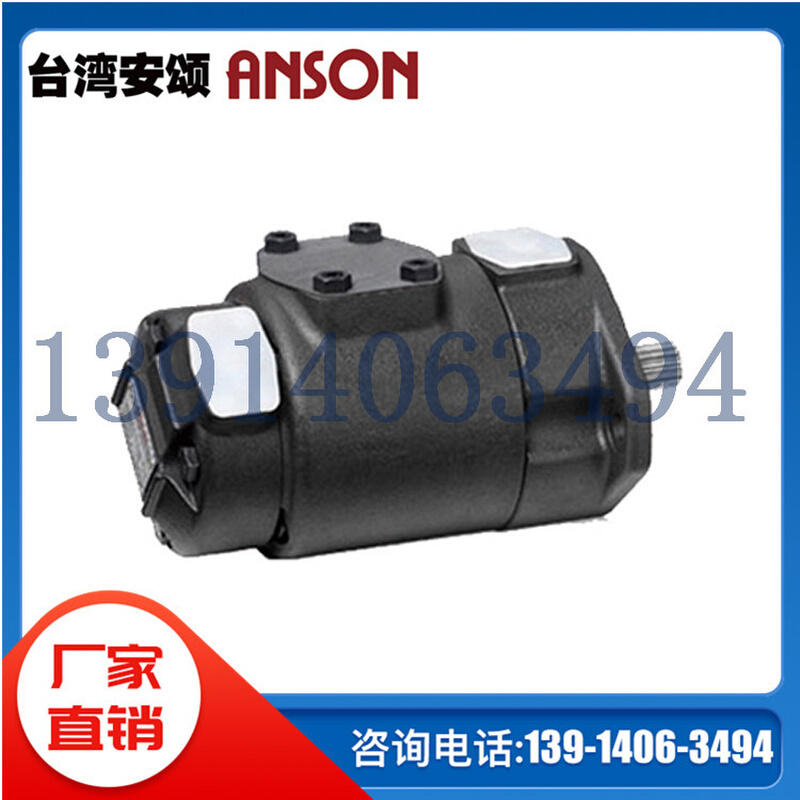 IVP43-50-21/25/30/35/38-F-R-1/86AA/BB/CC/DD-10台湾ANSON安颂