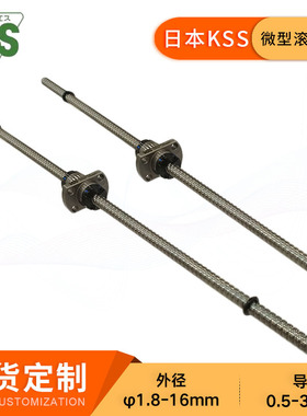 KSS微型滚珠丝杆SSRT0601不锈钢大头滚珠丝杠台阶型原厂现货