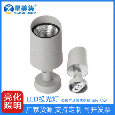 10W20W30W户外市政园林亮化工程LED彩色公园假山照树防水投光灯