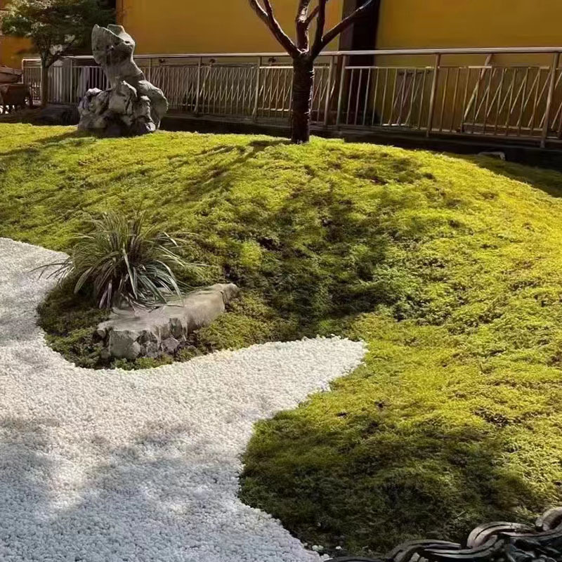 厂家现货白石子园林铺路造景机制小碎石白色鹅卵石白石头