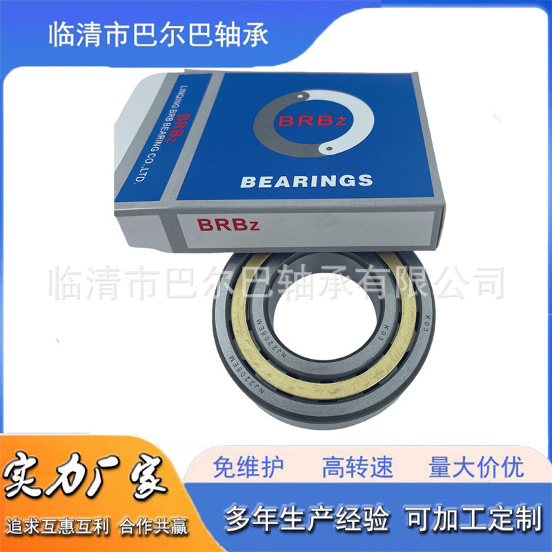 二类圆柱滚子轴承RN6/31.5 CRN6/38 RN3004V RN3006V