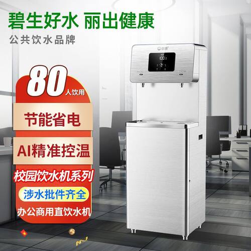 碧丽W-2D-RO大型工厂办公室学校直饮水机全自动净化一体烧水器