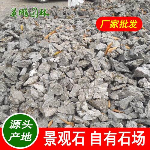 园林英石青龙石水族景观造景石微观盆景石材酸洗原石