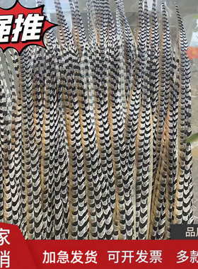 英歌翎子翎毛头饰京剧花旦头饰孙悟空表演羽毛山鸡毛戏曲翎毛道具