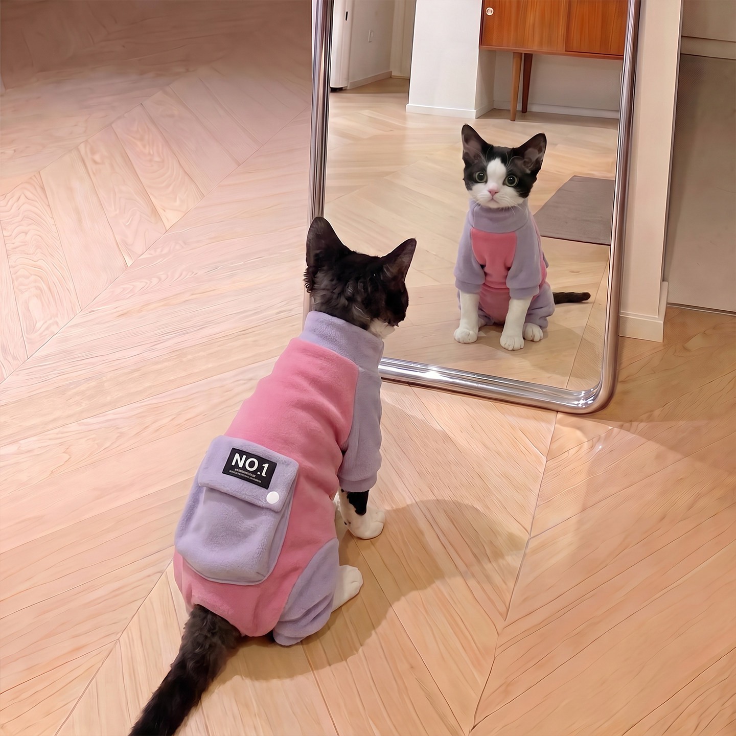 猫咪衣服秋冬德文阿比西尼亚无毛小猫狗狗四脚衣防着凉宠物服装