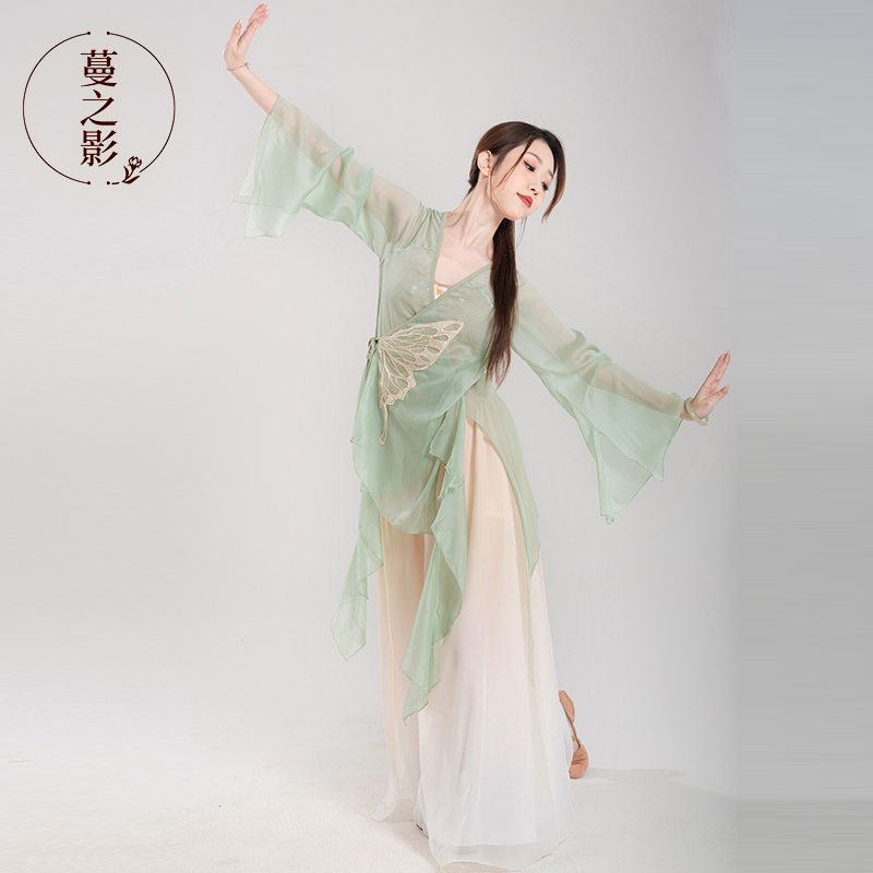 古典舞蹈服练功服民族舞长款雪纺纱衣中国舞演出W表演艺考服装
