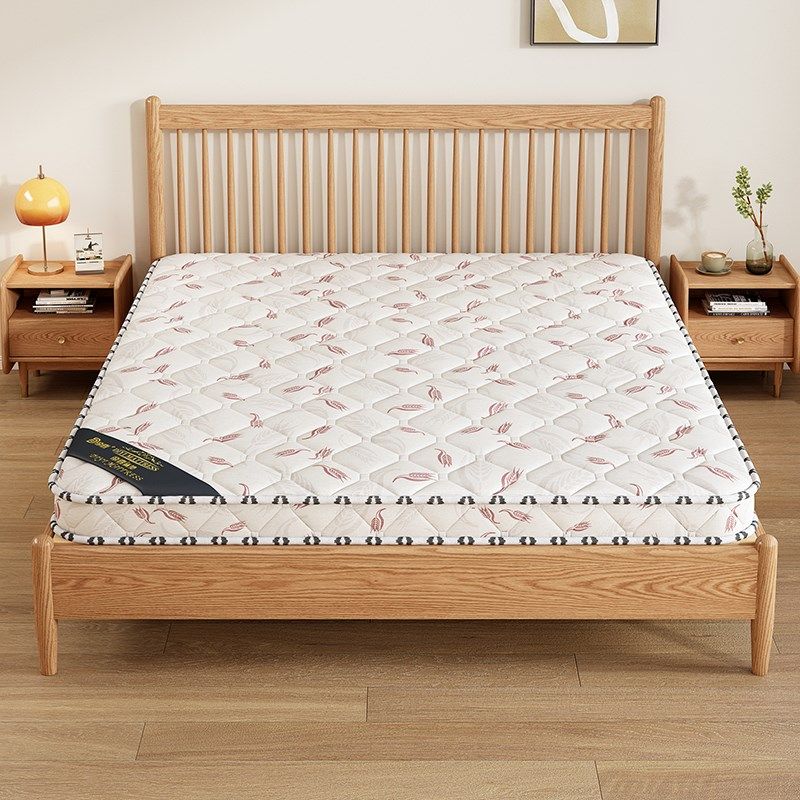 天然椰棕床垫硬垫子家用卧室可折叠10cm厚棕榈床垫租Y房用单人床