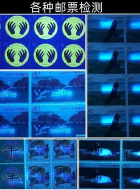 大功率变焦验钞灯紫外线检测防伪邮票荧光钱币鉴R定UV手电筒蝎子