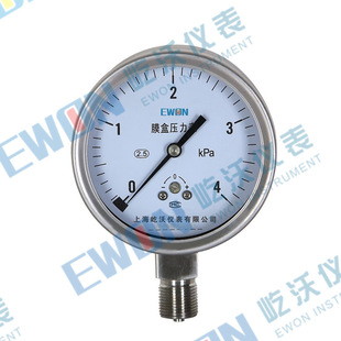 25kPa 2.5级 Y100 ye100b 316L 304 径向 膜盒压力表 M20×1.5