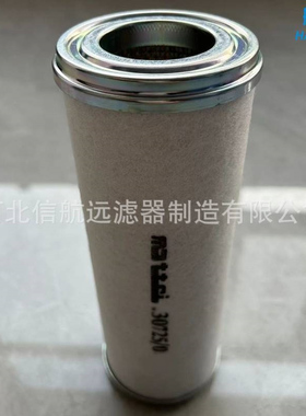 CR21F30725/804003209/CR21F30389/803447955滤芯