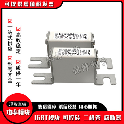 170M1413巴斯曼170M1414 170M1415 170M1416 170M1417熔断器现货