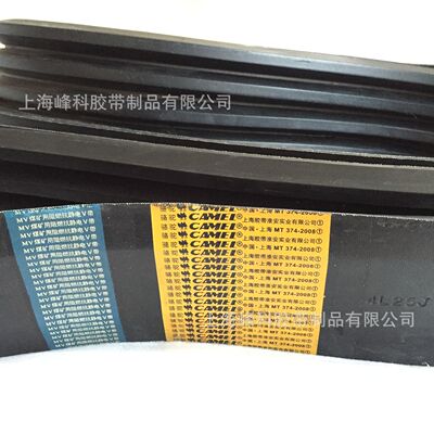 煤矿用阻燃抗静电联组带8V4L5080 4*25J4L5080 8V4L5380 8V4L5690