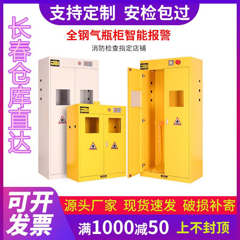长春防爆气瓶柜安全柜实验室氢气氧气乙炔储存柜全钢双瓶煤气罐柜