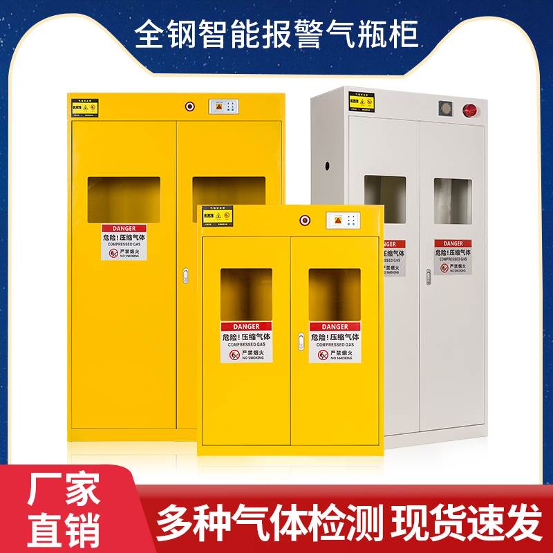气瓶柜安全柜实验室全钢防爆气瓶柜双瓶煤气罐氧气乙炔钢瓶储存柜
