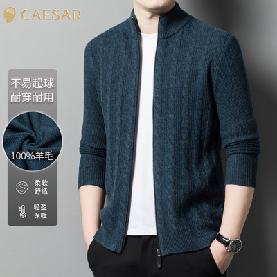 凯撒大帝2025年秋季男士纯色翻领时尚休闲百搭中年爸爸装针织衫J