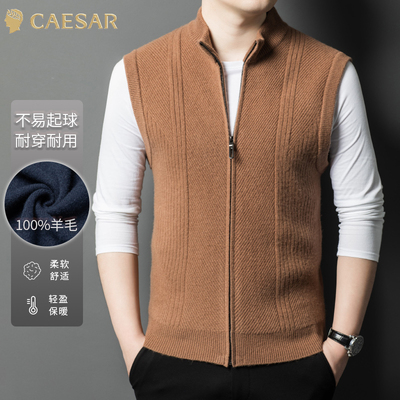 凯撒大帝2025年秋季新款男士中年时尚纯色V领商务爸爸装针织衫男J