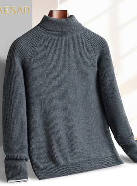 凯撒大帝2025年秋季新款男士纯色翻领长袖中年保暖上衣针织衫男J