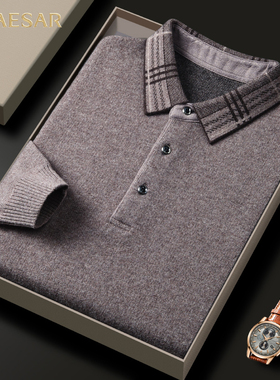 凯撒大帝2025年秋季男士纯色翻领休闲时尚百搭中老年男士针织衫J