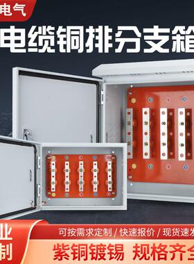 低压电缆分支箱铜排T接转换箱楼层转换箱分流箱BTTZ绝缘电位箱