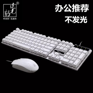 追光豹Q17白色单位采购办公有线usb接口家用键盘工厂批发keyboard