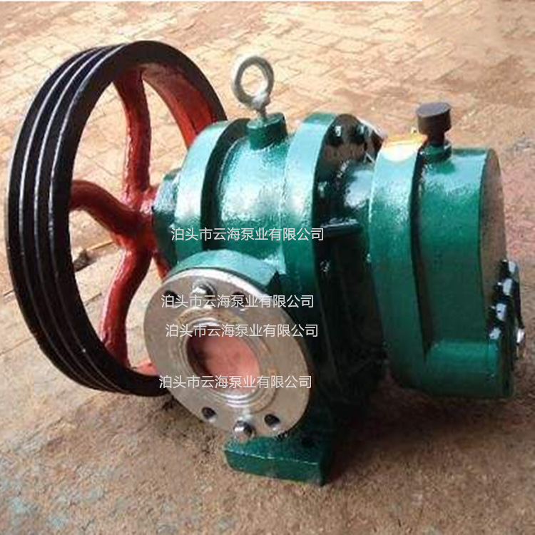 供应 LC-38/0.6保温罗茨泵 LC18/0.6不锈钢凸轮泵 18立方罗茨泵