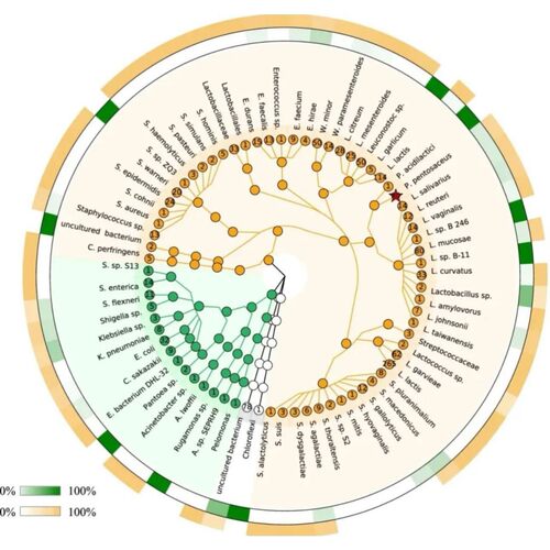 GBD数据库分析医学科研医学sci发文一对一生信分析代做