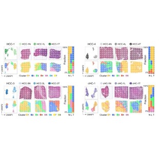 代谢组学 生信分析靶向非测序报告16s代谢物定性定量多组学联合