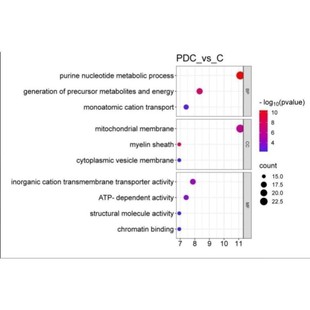 细胞器叶绿体线粒体动植物基因组组装与注释分析实操组学生信分析