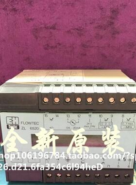 E+H 原装控制器FLOWTEC PROCCOM ZL 6520 CB60190019