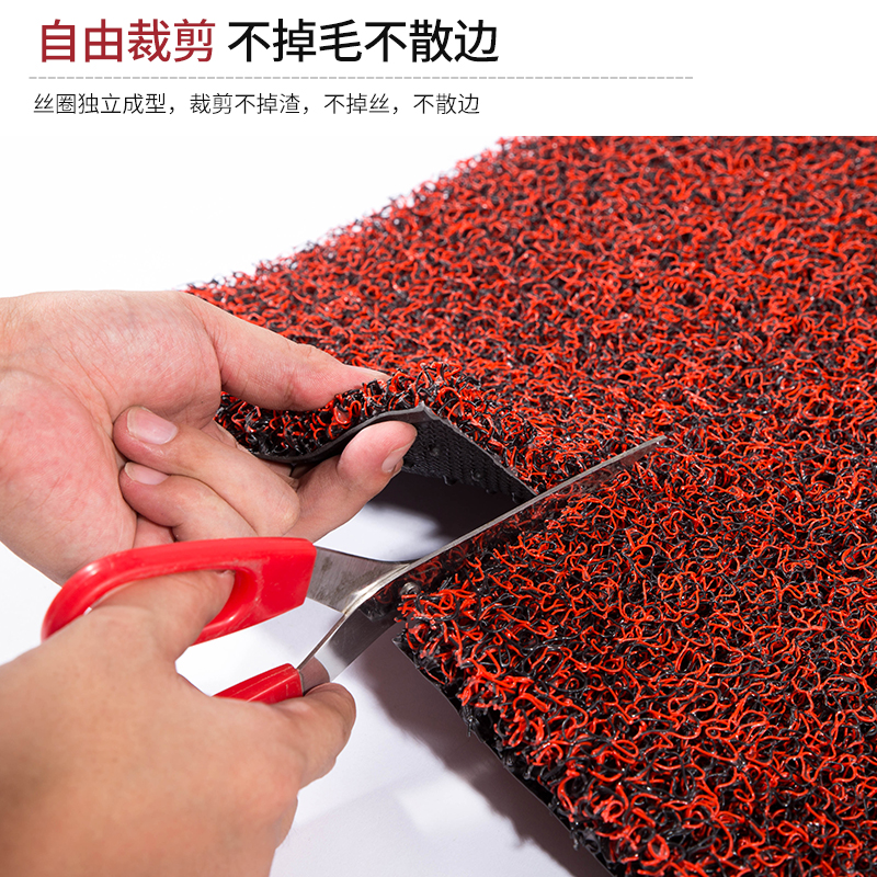 进门入户垫丝圈地垫车垫脚垫客厅入门门厅蹭鞋家用门口可裁剪地毯