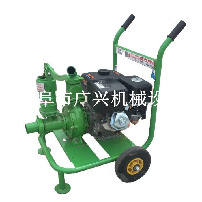 手泵推式图抽水VVE泵 四冲程汽抽水油 自吸泥浆泵片