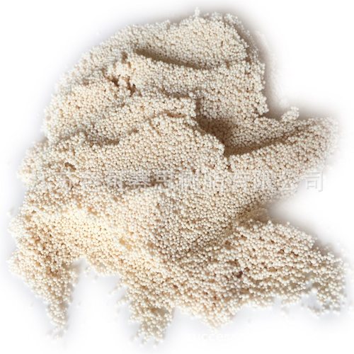 XAD-4树脂AMBERLITE XAD系列大孔吸附树脂 CAS 37380-42-0