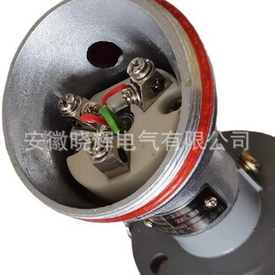 热电阻WZP 铂热电阻 330活动法兰安装