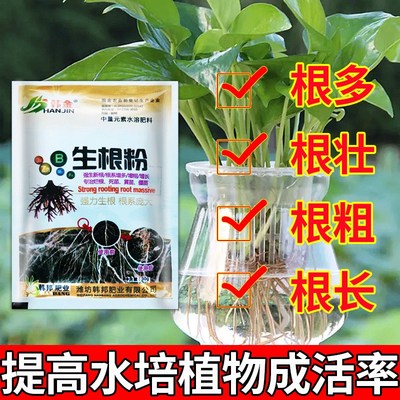 富贵竹生根粉水培菌肥强力生根z壮苗水培植物扦插移栽通用型水溶