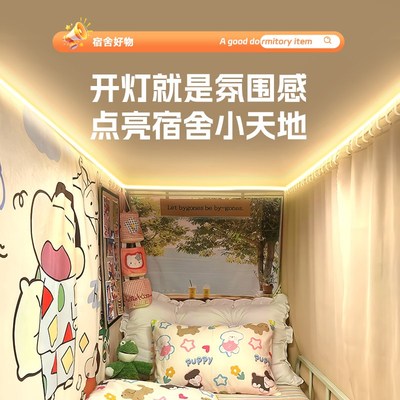 宿舍床上灯带e遮光床帘内用大学生上铺下铺蚊帐改造挂灯氛围小夜