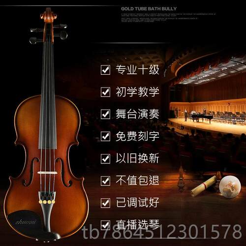 高档浩成木进实小提琴学者手工专业级儿童成人乐团检定初考试独演