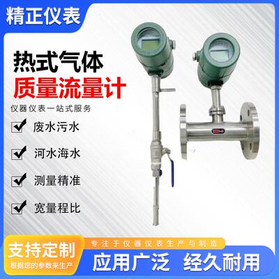 管道式插入式热式气体质量流量计压缩空气氧气氮气氯气质量流量计