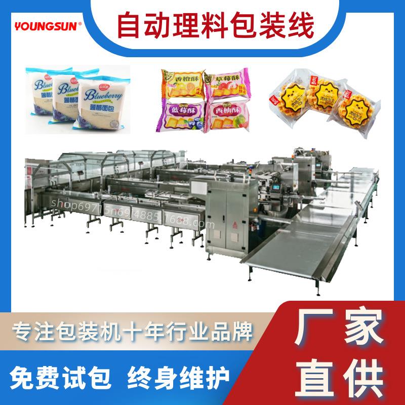 饼干理料包装机华夫饼自动理料包装机烘焙食品理料线枕式包装机